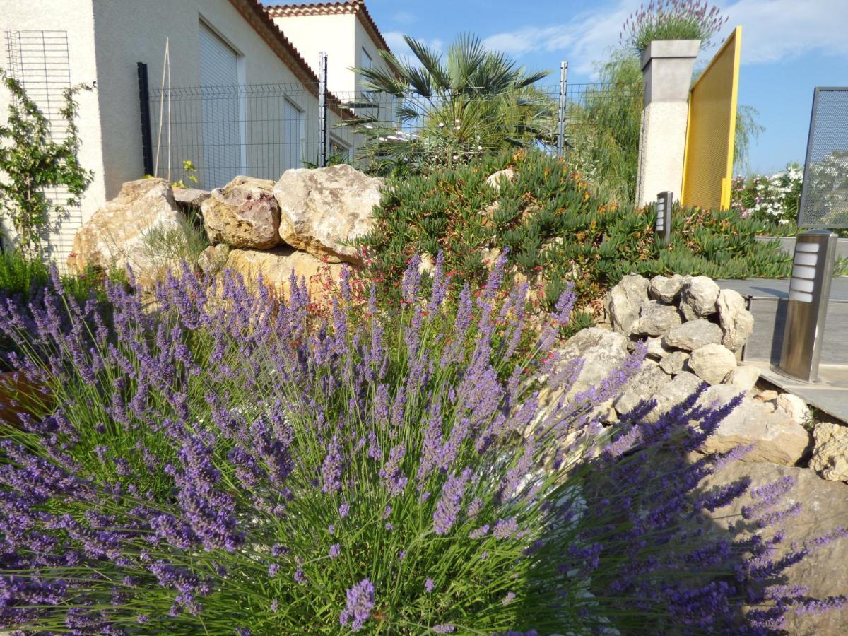 La Villa Du Saule Salles-dʼAude Dış mekan fotoğraf